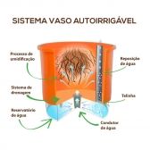 Vaso Autoirrigável I Will Survive Preto